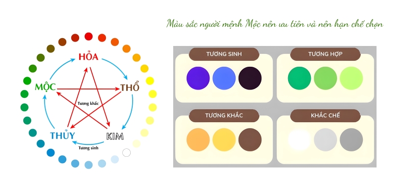 Ngũ hành tương sinh, tương khắc của mệnh Mộc
