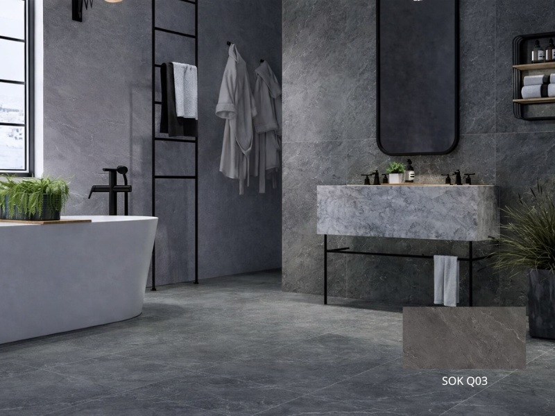 Gạch Viglacera 60x120 SOK Q03