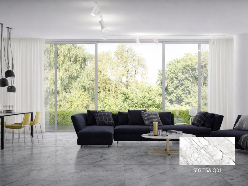 Gạch Viglacera 60x120 SIG.TSA Q01