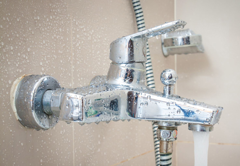 Củ sen bị lệch bên cao bên thấp