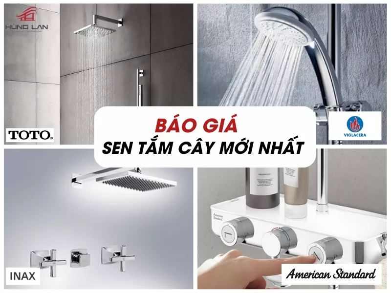 Bảng Báo Giá Sen Tắm Cây Mới Nhất 2024