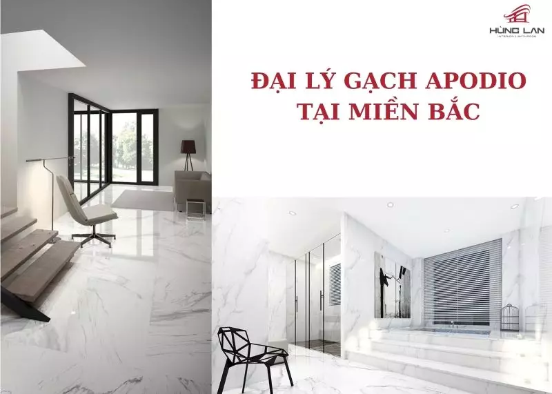 Đại lý gạch Apodio uy tín hàng đầu miền Bắc