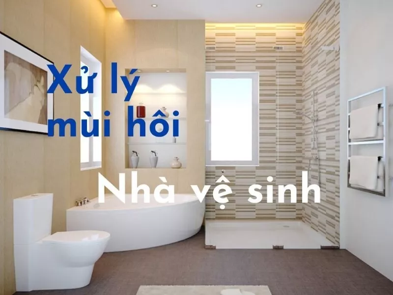 5 nguyên nhân và cách xử lý mùi hôi nhà vệ sinh dứt điểm