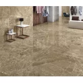 Gạch Ấn Độ 120x120