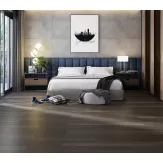 Gạch Ấn Độ 20x120