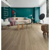 Gạch Taicera 90x15