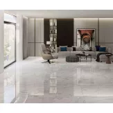 Gạch Viglacera 100x100