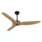 Quạt Trần Evolve