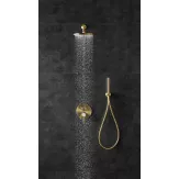 Sen tắm âm tường Elimen