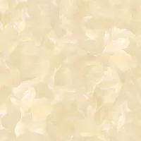 Gạch Prime 01.600600.22001 60x60