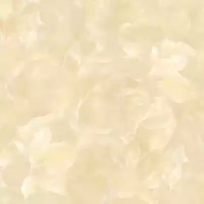 Gạch Prime 01.600600.22001 60x60