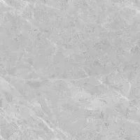 Gạch Prime 01.600600.39029 60x60