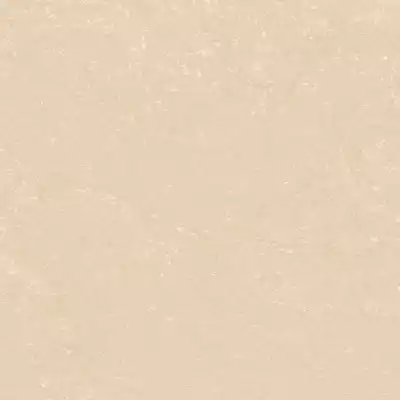 Gạch Prime 01.600600.39609 60x60