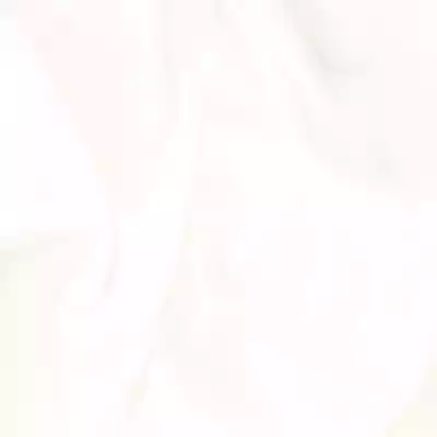 Gạch Prime 03.600600.17041 60x60