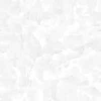 Gạch Prime 03.600600.17155 60x60