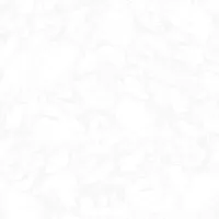 Gạch Prime 03.600600.29613 60x60