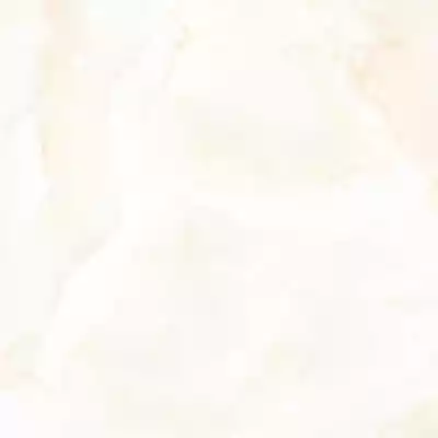 Gạch Prime 03.600600.29614 60x60