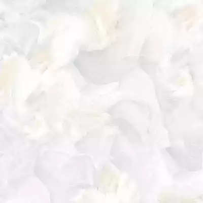 Gạch Prime 03.600600.29615 60x60