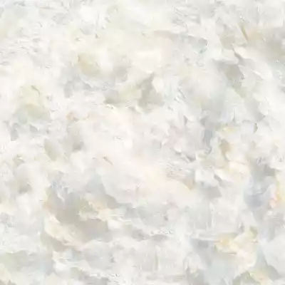 Gạch Prime 03.600600.29E38 60x60