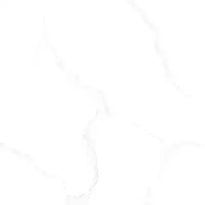 Gạch Prime 03.600600.30000 60x60