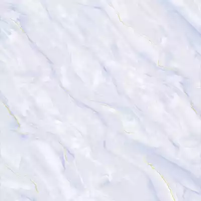 Gạch Prime 1.460.060.009.899 60x60