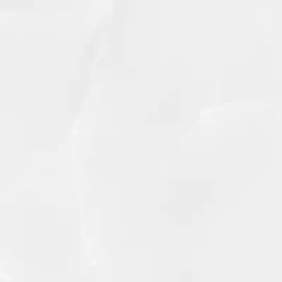 Gạch Prime 13.600600.09215 60x60