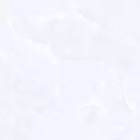 Gạch Prime 14.600600.15224 60x60