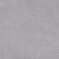Gạch Prime 14.600600.32021 60x60