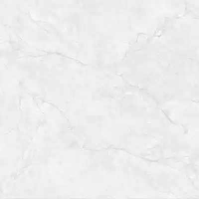 Gạch Prime 14.600600.32029 60x60