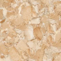 Gạch Prime 14.600600.32033 60x60