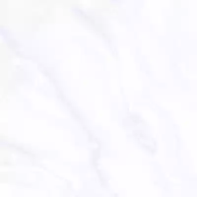 Gạch Prime 14.600600.32061 60x60