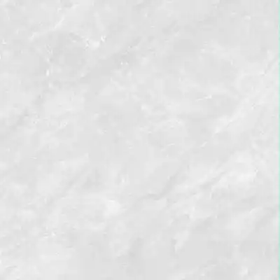 Gạch Prime 14.600600.32E11 60x60