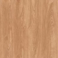 Gạch Prime 14.600600.32E23 60x60