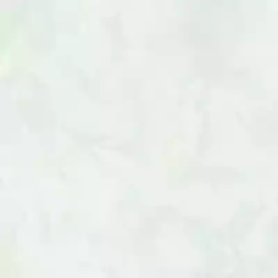 Gạch Prime 14.600600.61115 60x60
