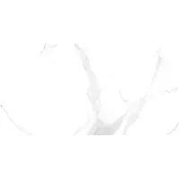 Gạch Prime 14.300600.33E10 30x60