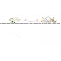 Gạch Prime 14.300600.62016 30x60