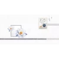 Gạch Prime 14.300600.62027 30x60