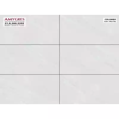 Gạch Á Mỹ 21.A.360.3395 30x60