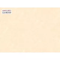 Gạch Á Mỹ 21.A.480.3078 40x80
