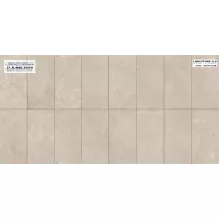 Gạch Á Mỹ 21.B.480.3070 40x80