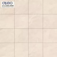 Gạch Á Mỹ 21.C.660.3668 60x60