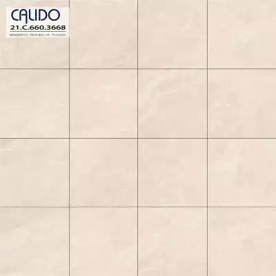 Gạch Á Mỹ 21.C.660.3668 60x60