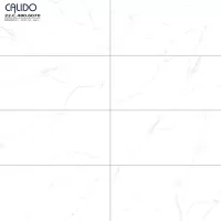 Gạch Á Mỹ 22.C.480.6070 40x80