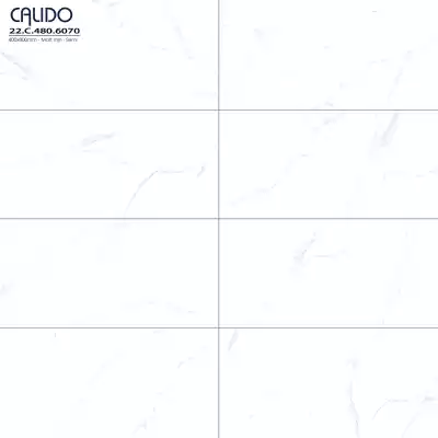 Gạch Á Mỹ 22.C.480.6070 40x80
