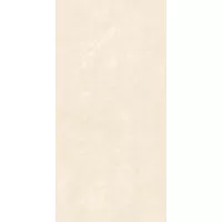 Gạch Viglacera ASD4864GP 40x80