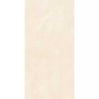 Gạch Viglacera ASD4864GP 40x80
