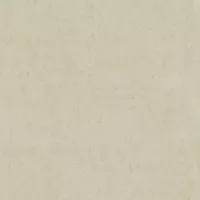 Gạch Viglacera BS6602 60x60