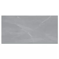 Gạch Viglacera CL5-GP4802 40x80