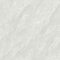 Gạch Viglacera DT-GP6602 60x60