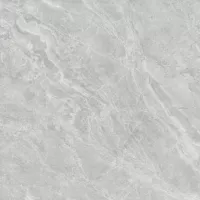 Gạch Viglacera DT-GP6603 60x60
